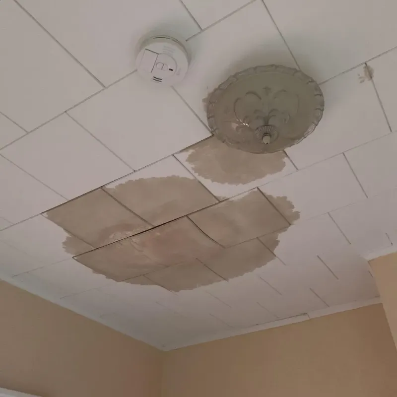 Ceiling Water Damage Repair in Rosemount, OH