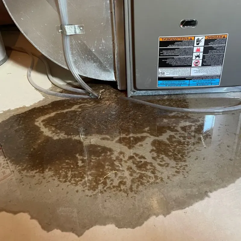 Pipe Burst and Leak Restoration in Rosemount, OH